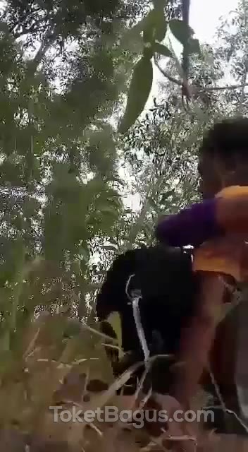 ABG Bocil Pakek Jilbab Ngewe Di Hutan
